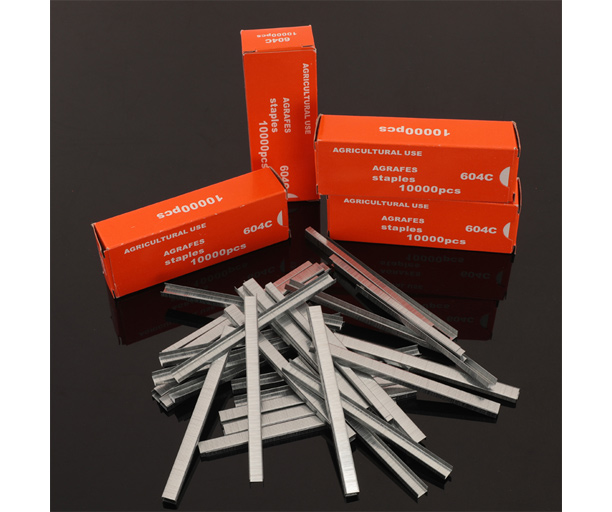 /uploads/image/2025/11/03/tapetool-staples-3.jpg tapetool-staples-3.jpg