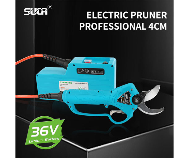 Electric Lopping Shears