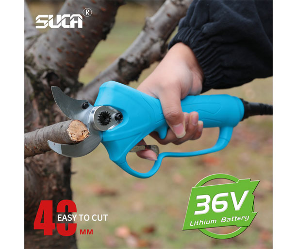 Hand Held Pruning Shears