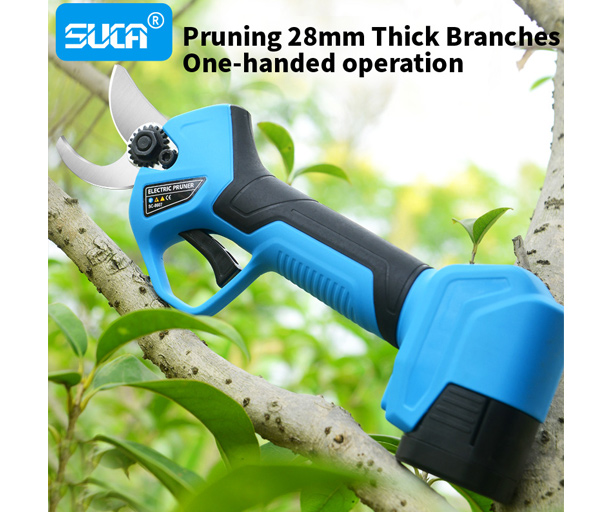 Battery Powered Chainsaw Pruner