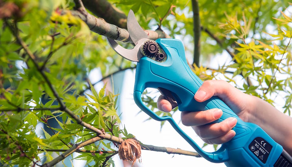 Electric Pruner SUCA, Electric Pruning/Gardening Shears, Electric Pruner  Supplier