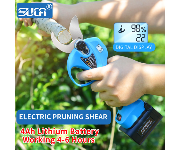 Rechargeable Power Pruner