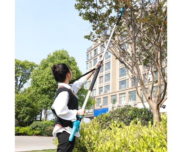 Telescopic Pruner