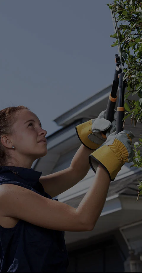 Cordless Chainsaw Importance