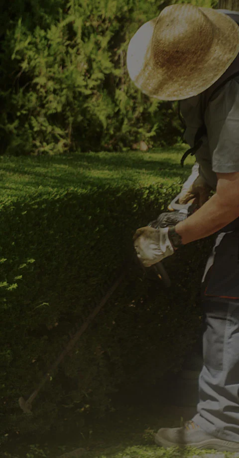 Cordless String Trimmer Importance